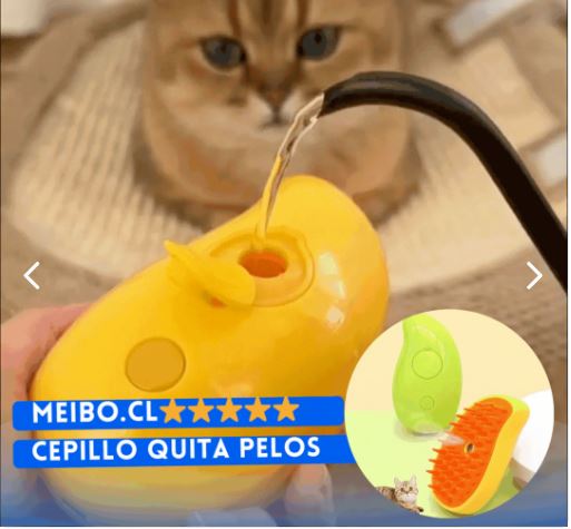 🎁 Cepillo vapor para  mascota